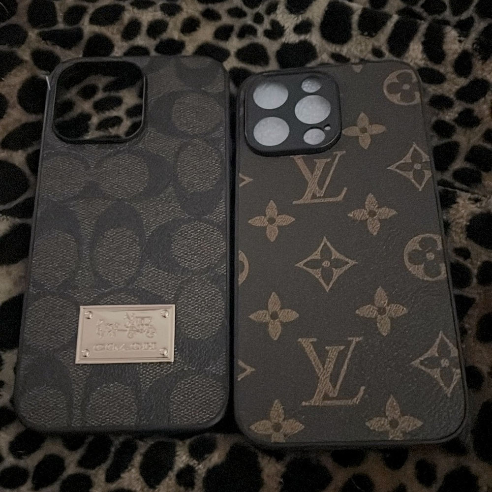 13 Iphone Pro Max Designer inspired phone case 2